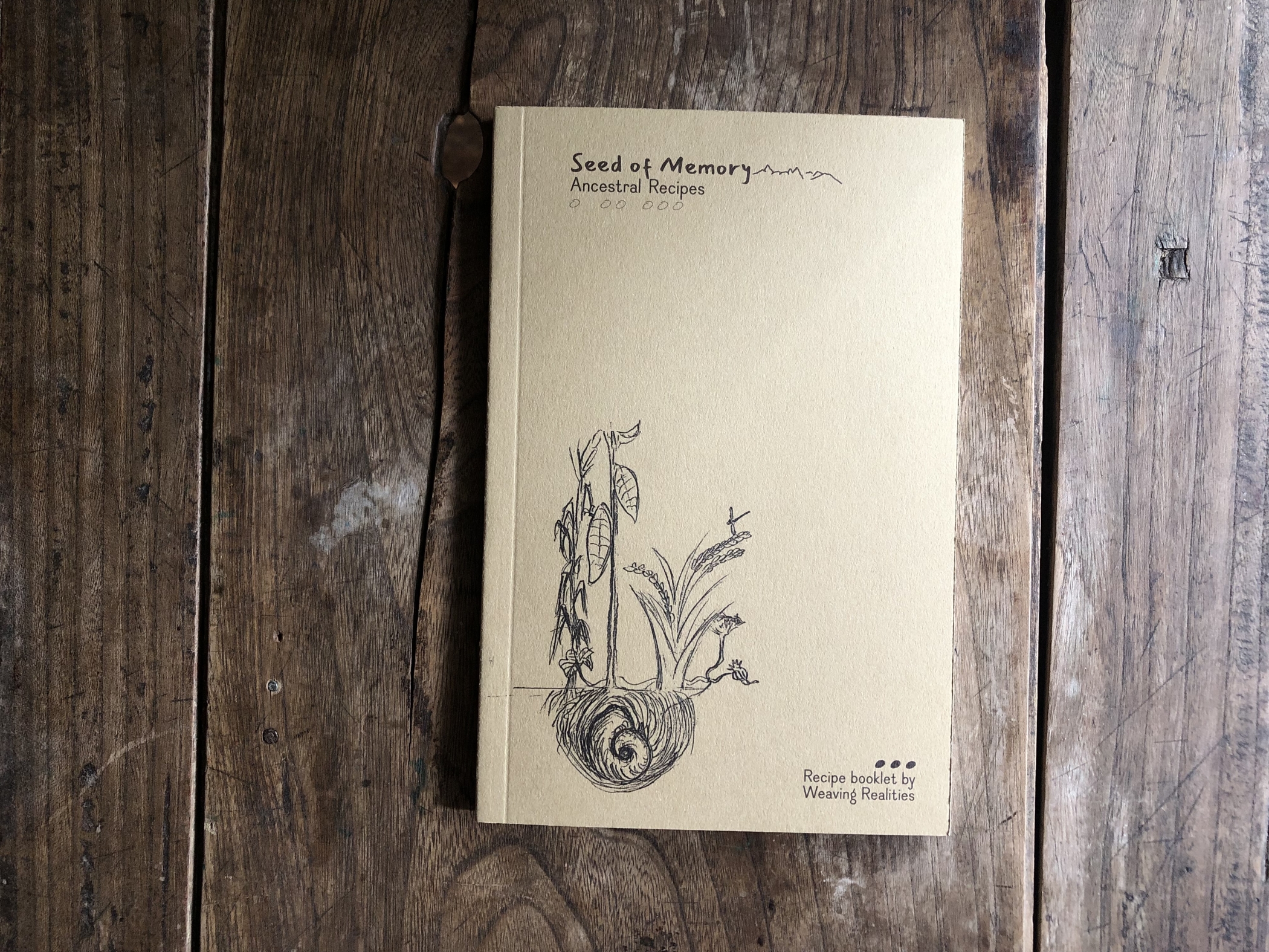 『Seed of Memory』の画像