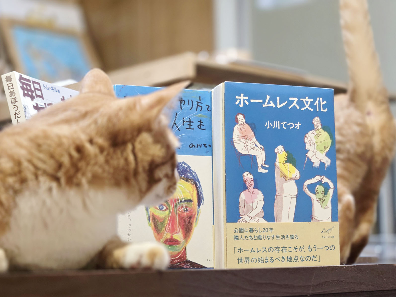 『ホームレス文化』の画像